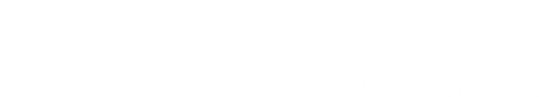 Vivitar